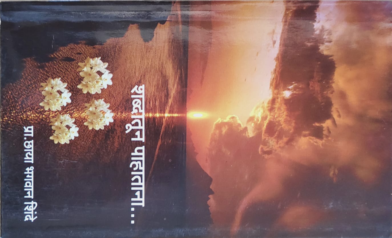 शब्दातून पाहाताना...