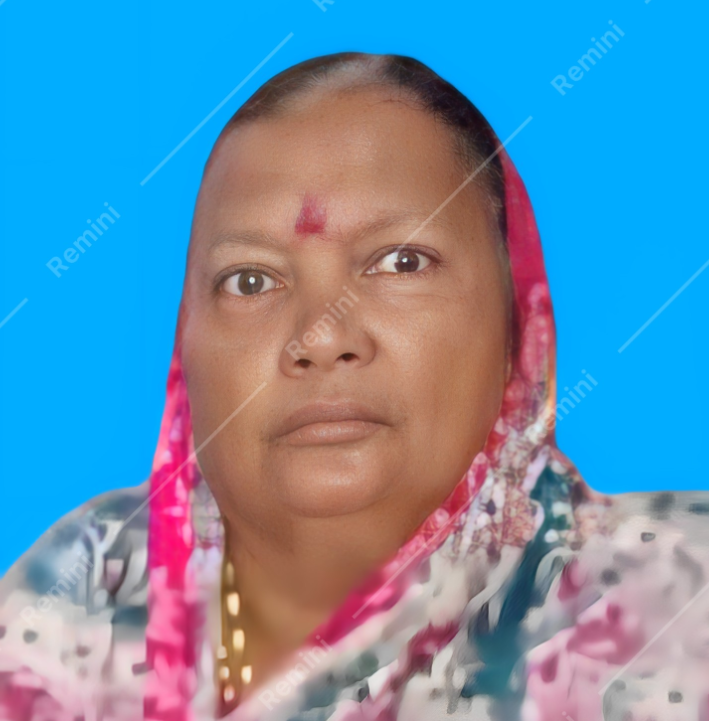 सदस्य